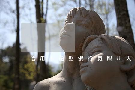 信用卡逾期银行宽限几天