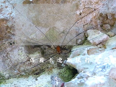 信用卡逾期银行寄信函不收怎么办 信用卡逾期银行寄信函不收怎么办