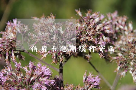 信用卡逾期银行寄函