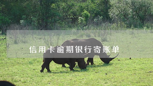信用卡逾期银行寄账单 信用卡逾期银行寄账单