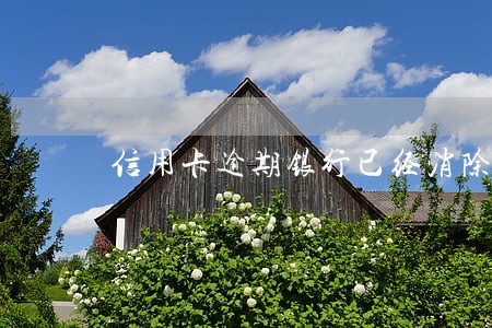 信用卡逾期银行已经消除 信用卡逾期银行已经消除