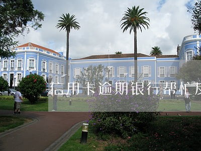 信用卡逾期银行帮忙反馈 信用卡逾期银行帮忙反馈