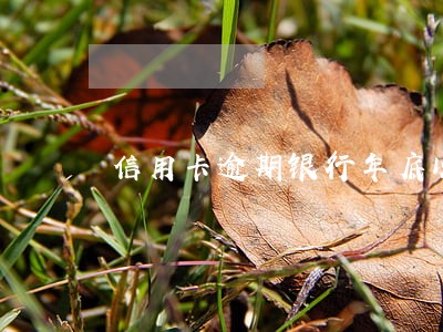 信用卡逾期银行年底以呆坏账处理 信用卡逾期银行年底以呆坏账处理