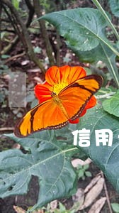 信用卡逾期银行应多久通知