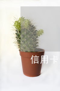 信用卡逾期银行开证明有用吗 信用卡逾期银行开证明有用吗