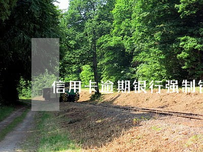 信用卡逾期银行强制销卡 信用卡逾期银行强制销卡