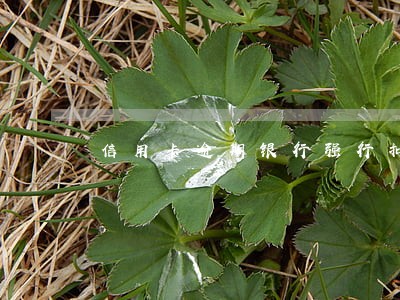 信用卡逾期银行强行扣款 信用卡逾期银行强行扣款