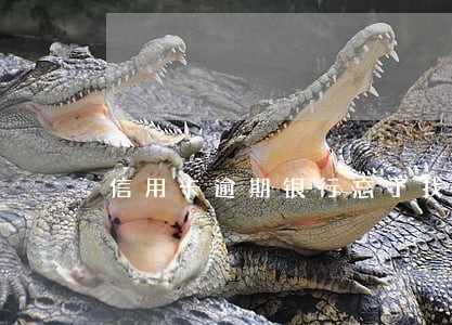 信用卡逾期银行忘了找我