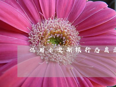 信用卡逾期银行态度恶劣 信用卡逾期银行态度恶劣