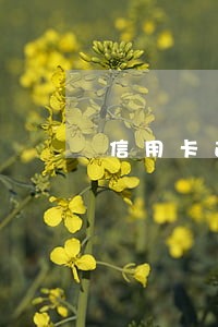 信用卡逾期银行态度蛮横 信用卡逾期银行态度蛮横