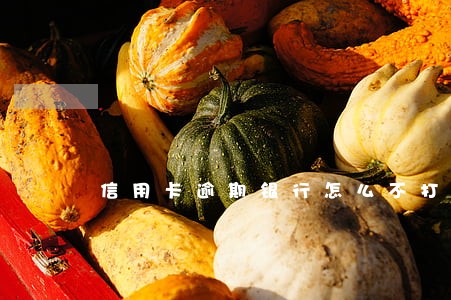 信用卡逾期银行怎么不打电话 信用卡逾期银行怎么不打电话