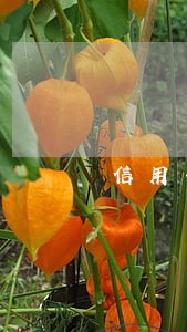 信用卡逾期银行怎么发信息 信用卡逾期银行怎么发信息