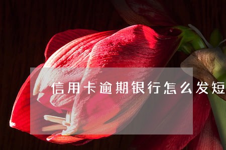 信用卡逾期银行怎么发短信 信用卡逾期银行怎么发短信