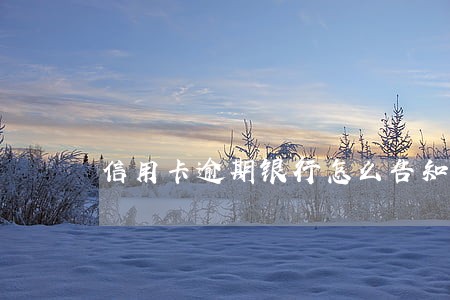 信用卡逾期银行怎么告知 信用卡逾期银行怎么告知