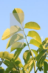 信用卡逾期银行怎么打到公司的 信用卡逾期银行怎么打到公司的