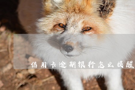 信用卡逾期银行怎么提醒 信用卡逾期银行怎么提醒