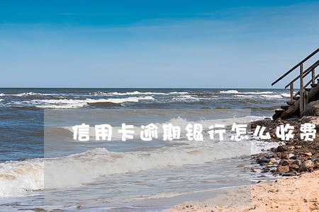 信用卡逾期银行怎么收费的 信用卡逾期银行怎么收费的