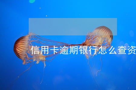 信用卡逾期银行怎么查资产合法 信用卡逾期银行怎么查资产合法