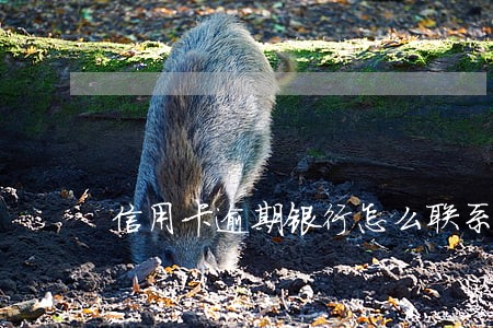 信用卡逾期银行怎么联系家人 信用卡逾期银行怎么联系家人
