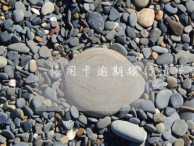 信用卡逾期银行情景剧