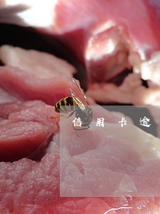 信用卡逾期银行截图 信用卡逾期银行截图