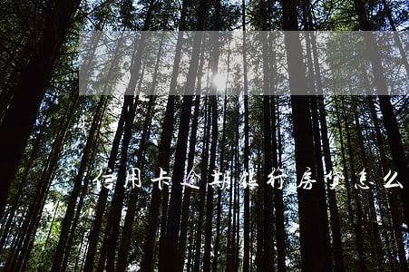 信用卡逾期银行房贷怎么办 信用卡逾期银行房贷怎么办