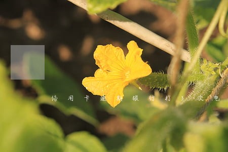 信用卡逾期银行打3次电话 信用卡逾期银行打3次电话