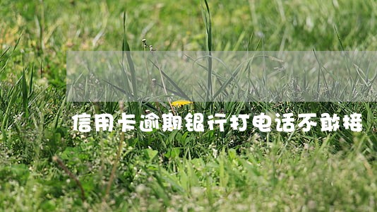 信用卡逾期银行打电话不敢接 信用卡逾期银行打电话不敢接