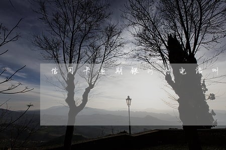 信用卡逾期银行打电话叫我去吗 信用卡逾期银行打电话叫我去吗
