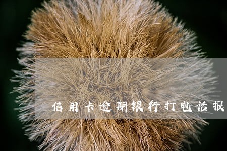信用卡逾期银行打电话报警已立案 信用卡逾期银行打电话报警已立案