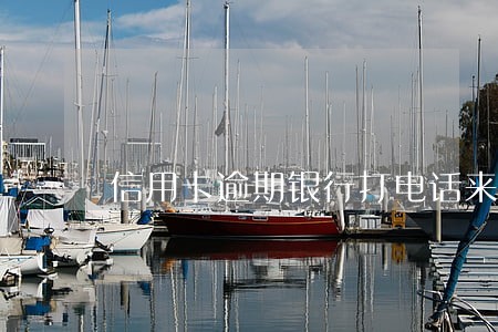 信用卡逾期银行打电话来怎么回答