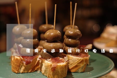 信用卡逾期银行打电话查资产