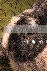 信用卡逾期银行打电话给家人 信用卡逾期银行打电话给家人