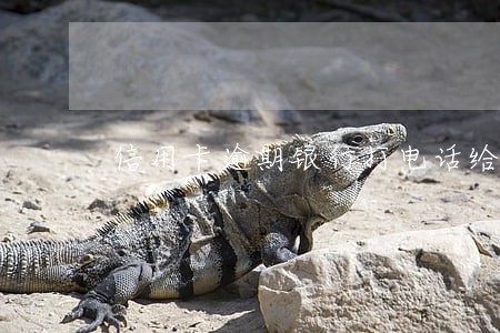 信用卡逾期银行打电话给我父母 信用卡逾期银行打电话给我父母