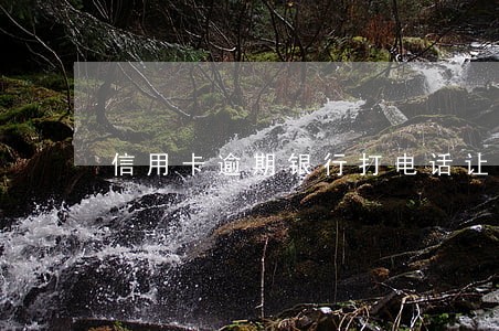 信用卡逾期银行打电话让去协商