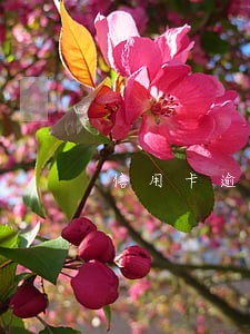 信用卡逾期银行打电话说协商