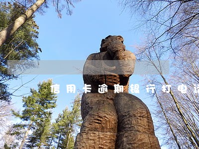 信用卡逾期银行打电话说封卡