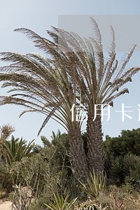 信用卡逾期银行打电话说来家里