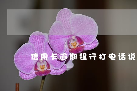 信用卡逾期银行打电话说诉讼 信用卡逾期银行打电话说诉讼
