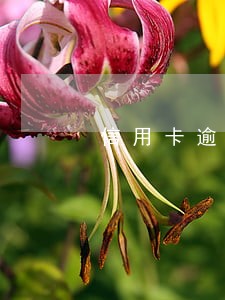 信用卡逾期银行扣手术费可以吗