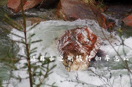 信用卡逾期银行扣车怎么办 信用卡逾期银行扣车怎么办