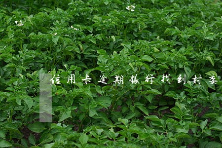 信用卡逾期银行找到村委会