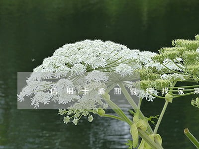 信用卡逾期银行找家来没找到人 信用卡逾期银行找家来没找到人