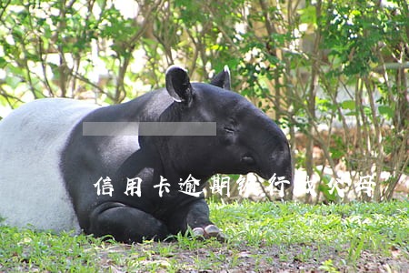 信用卡逾期银行找父母 信用卡逾期银行找父母
