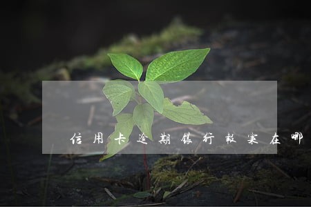 信用卡逾期银行报案在哪报案 信用卡逾期银行报案在哪报案