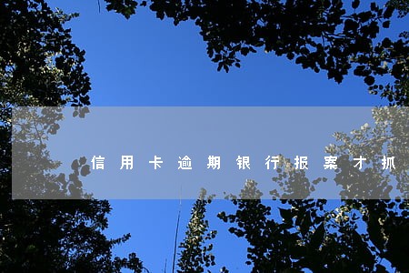 信用卡逾期银行报案才抓人吗