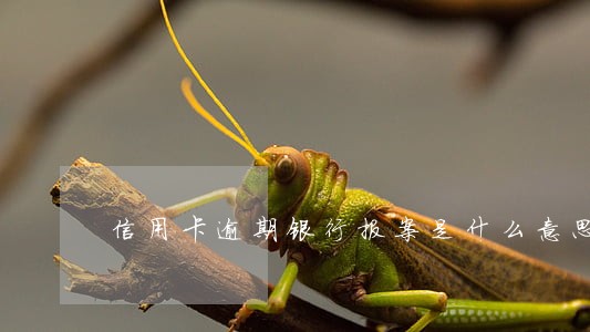 信用卡逾期银行报案是什么意思 信用卡逾期银行报案是什么意思