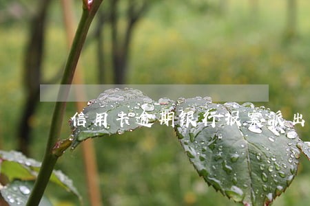信用卡逾期银行报案派出所会怎么处理 信用卡逾期银行报案派出所会怎么处理