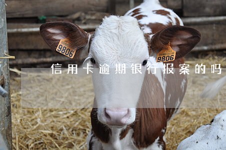 信用卡逾期银行报案的吗 信用卡逾期银行报案的吗