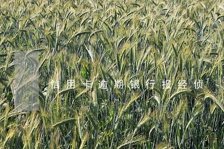 信用卡逾期银行报经侦 信用卡逾期银行报经侦
